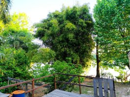 Cabins and Dome Sale in the Delta