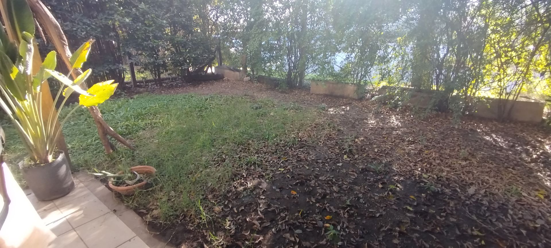Vanta Casa El Palmar 3 Amb Con Dos Cocheras Jardin