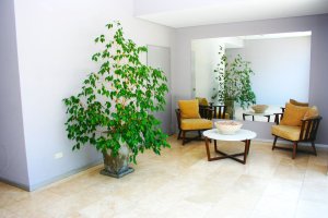 Venta Departamento 4 Amb Tipo Duplex Nordelta