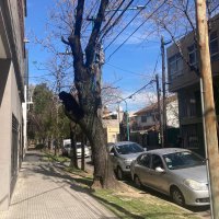 Venta Casa a Refaccionar, Florida Oeste, Centro