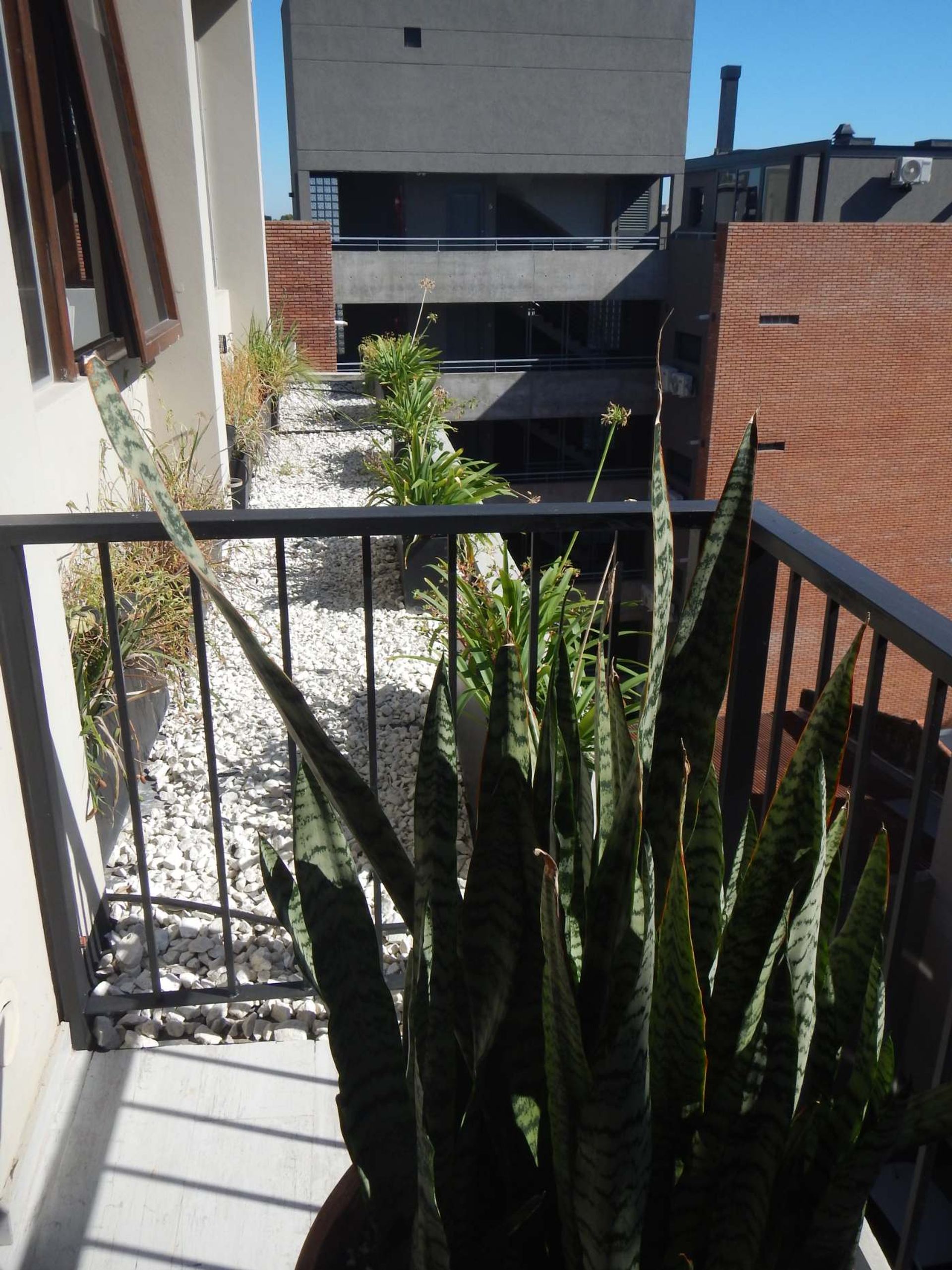 Exclusivo 2 amb en Tigre Ctro -Amenitis y COCH