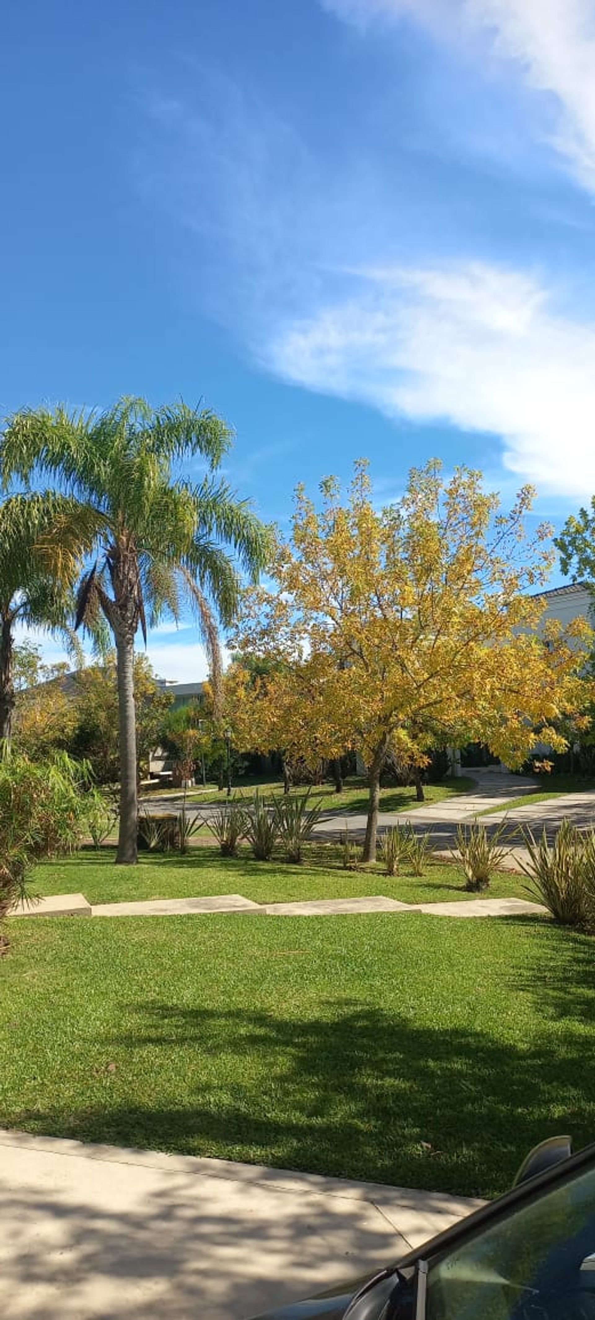 Venta casa Lote int central San Isidro Labrador