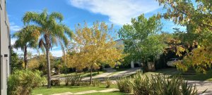 Venta casa Lote int central San Isidro Labrador