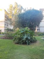 2-room Apartment for Sale, Don Torcuato, Excellent Location