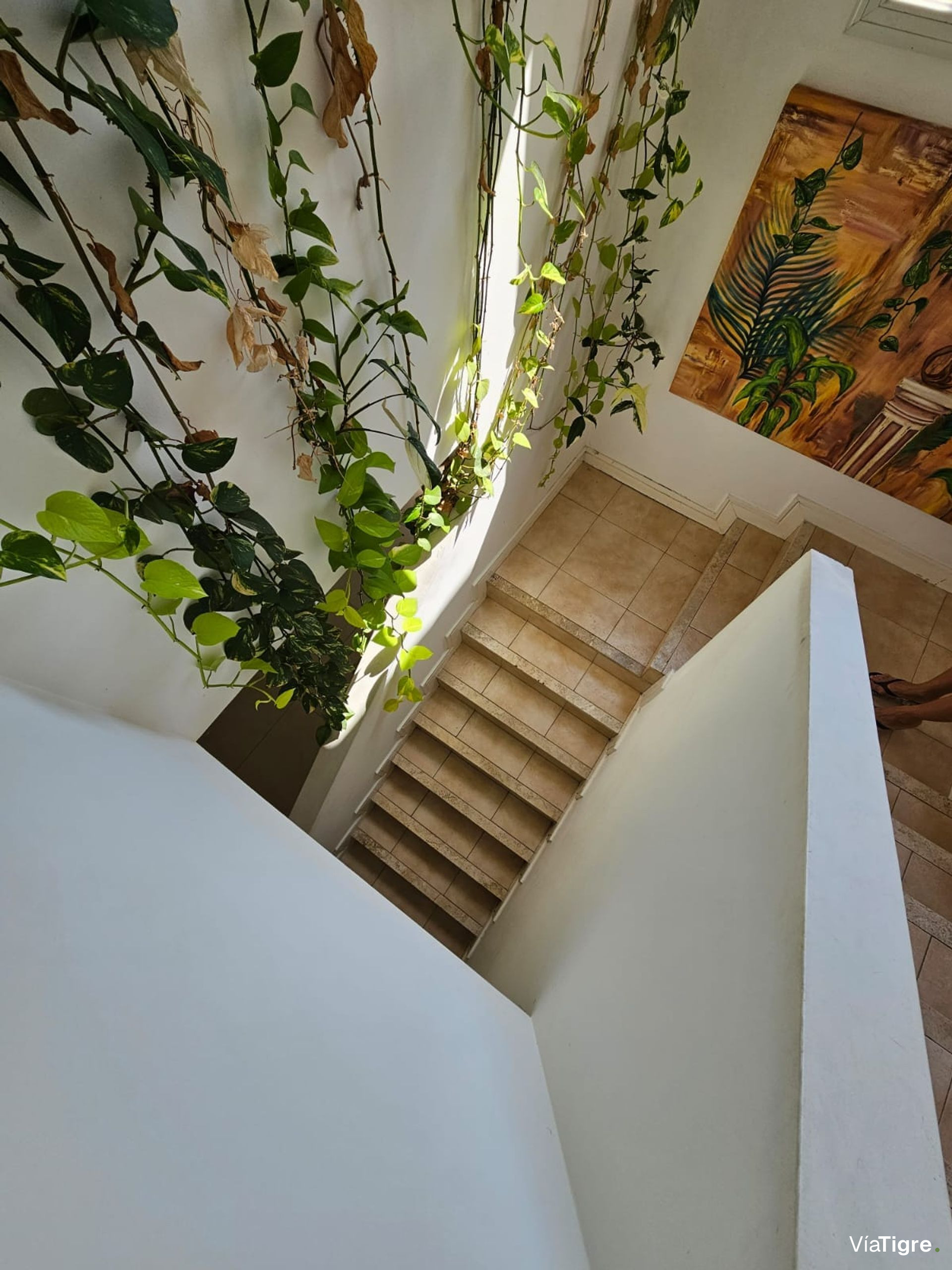 Venta de casa en san isidro labrador lote interno