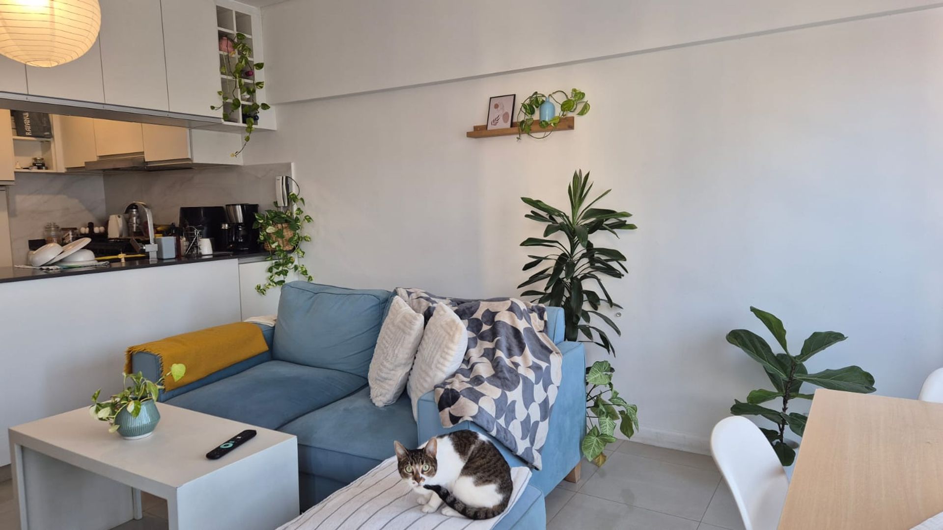 Venta Depto 2Amb +Escritorio A/Cred San Fernando