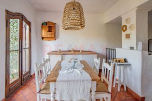 VENTA CASA en lote propio 5 amb con jardín