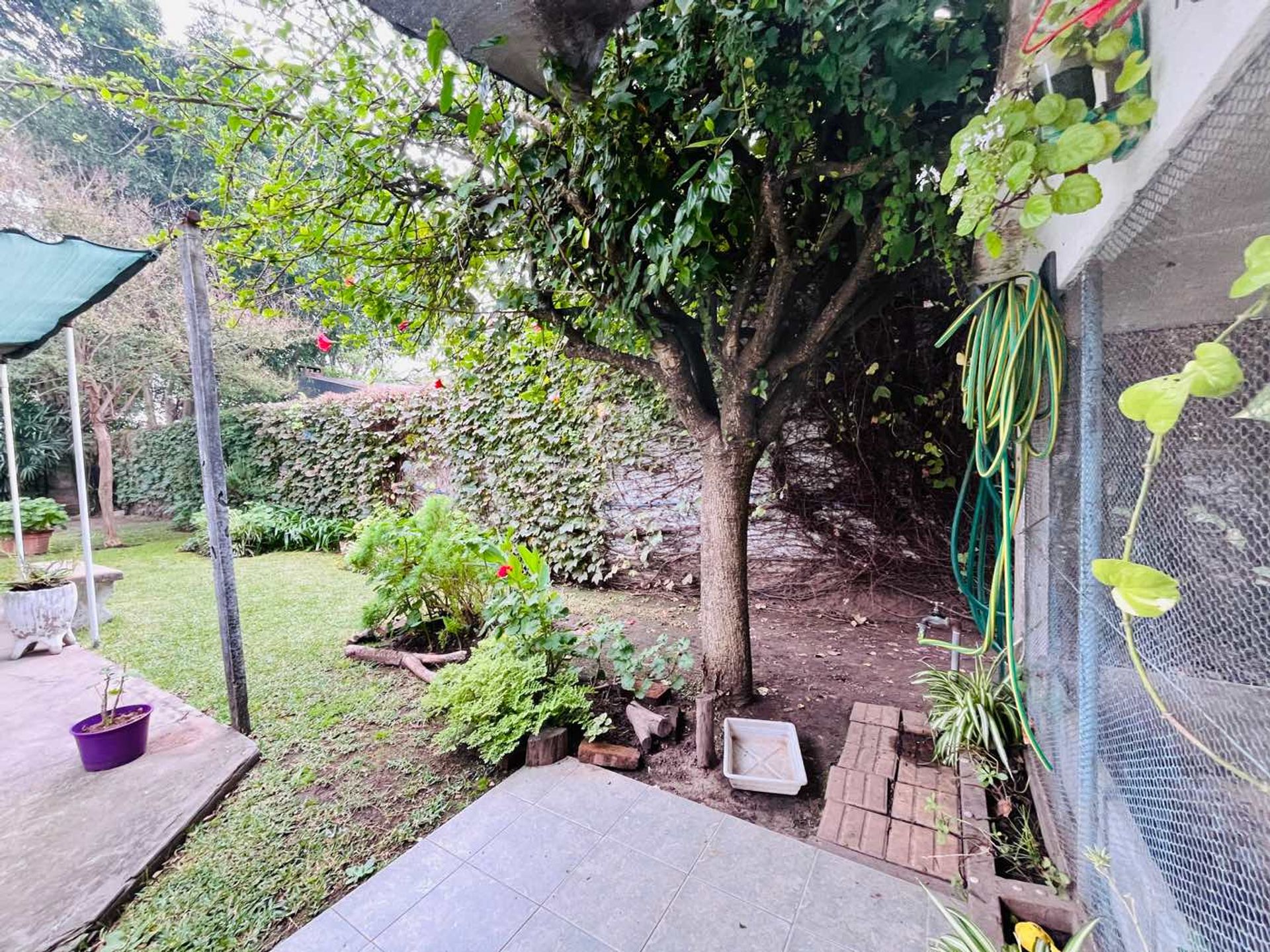 Ph 3 Ambientes Con Parque Centro Villa Adelina