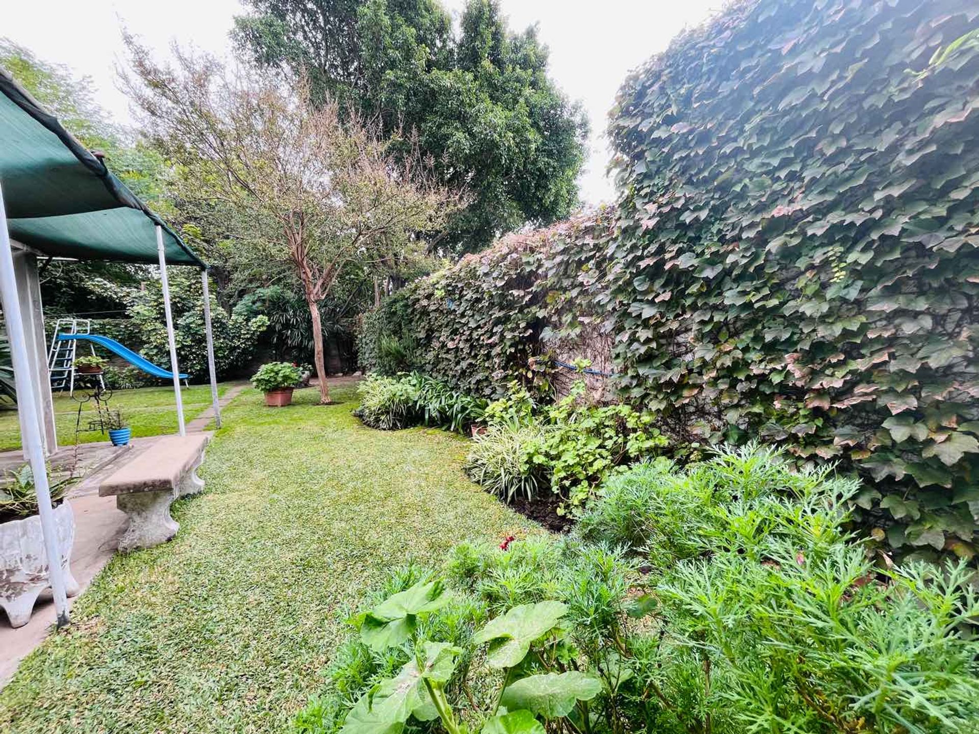 Ph 3 Ambientes Con Parque Centro Villa Adelina
