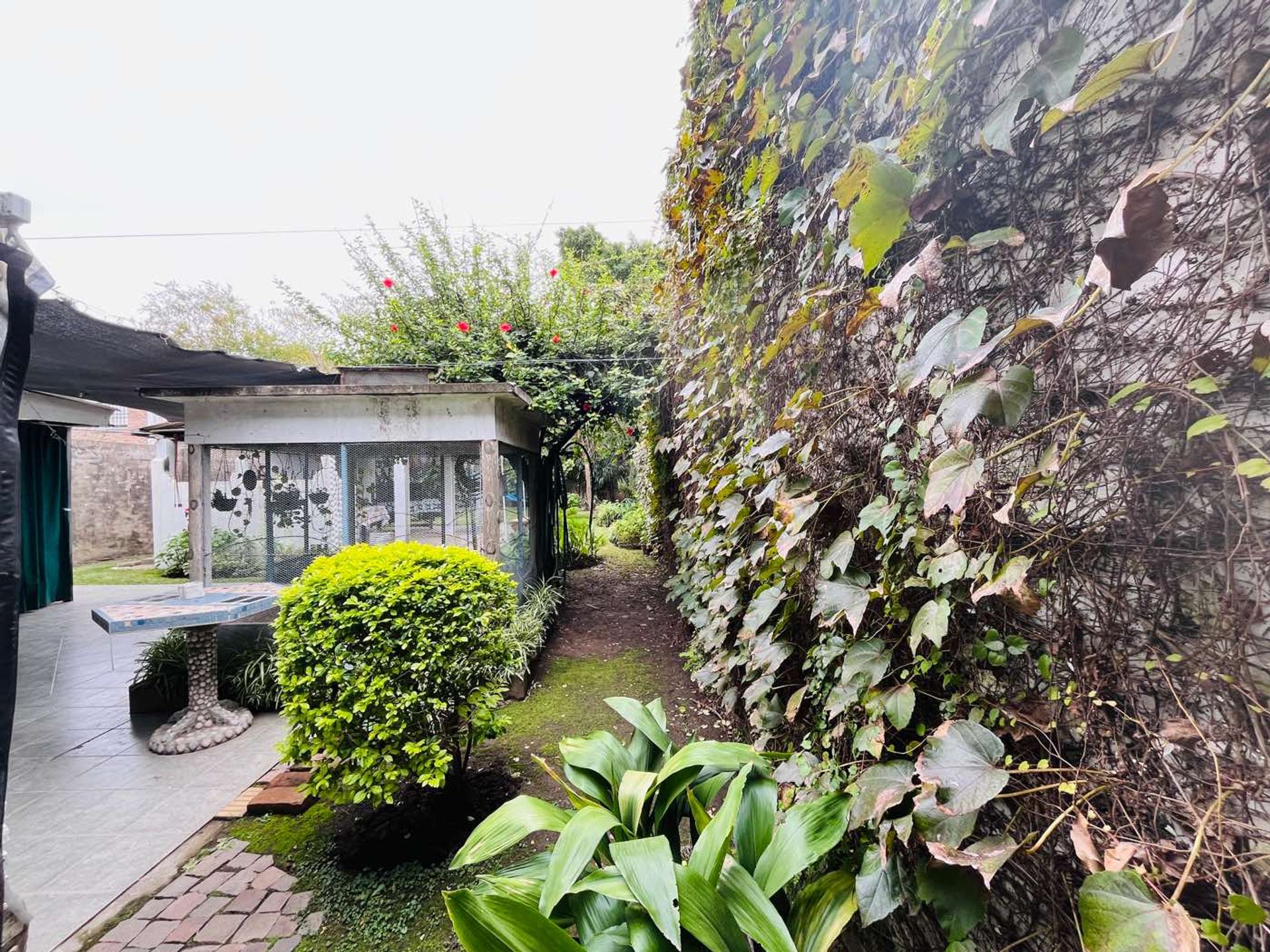 Ph 3 Ambientes Con Parque Centro Villa Adelina