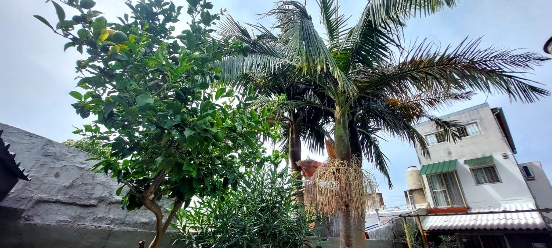 Duplex De 4 Amb En Venta En El Talar,Tigre