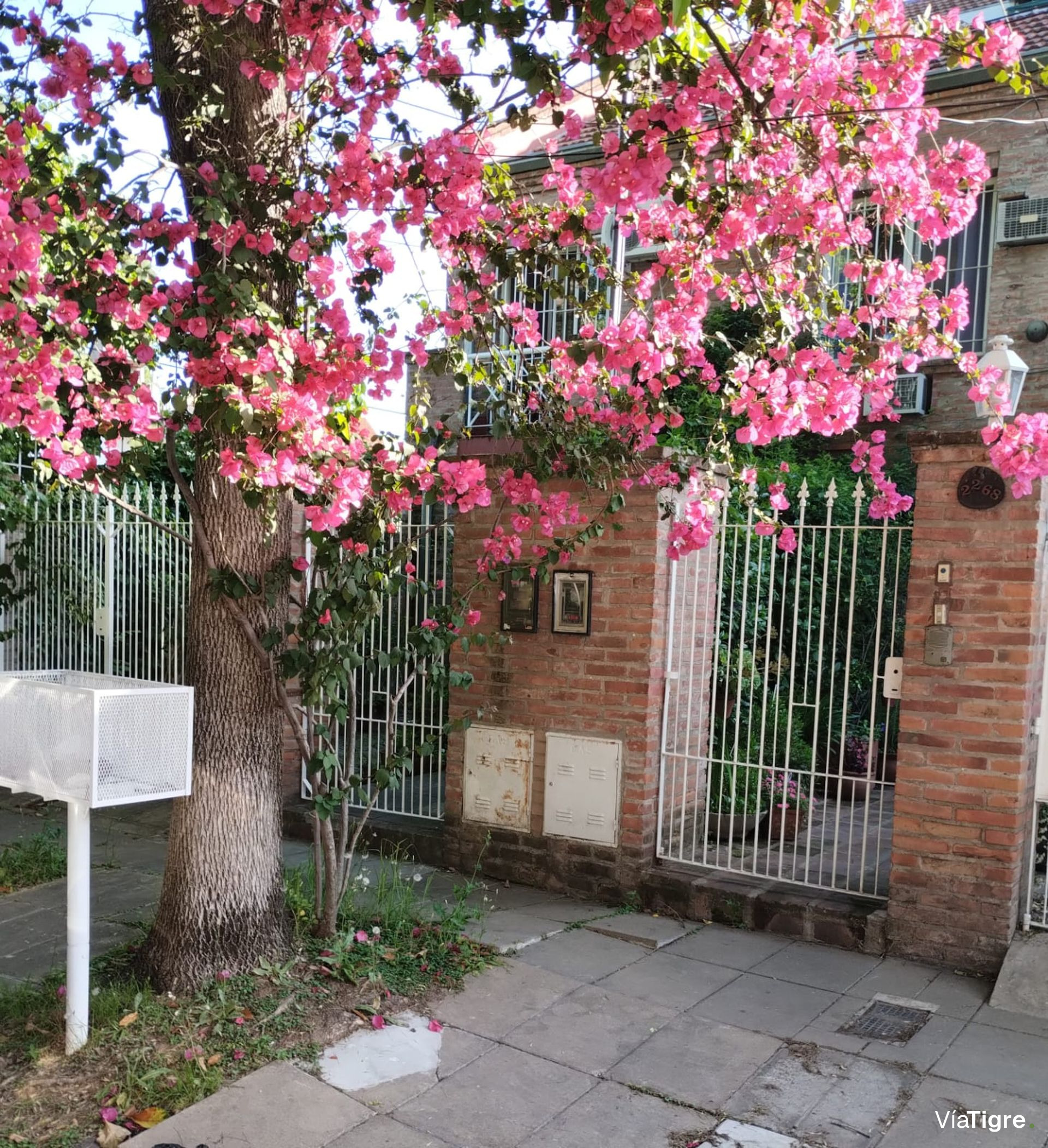 Venta Triplex 5 ambientes con jardín en Olivos