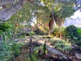 Venta De Casa Multifamiliar En Pacheco