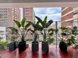 Departamento en Martinez, 5 Ambientes con Cochera
