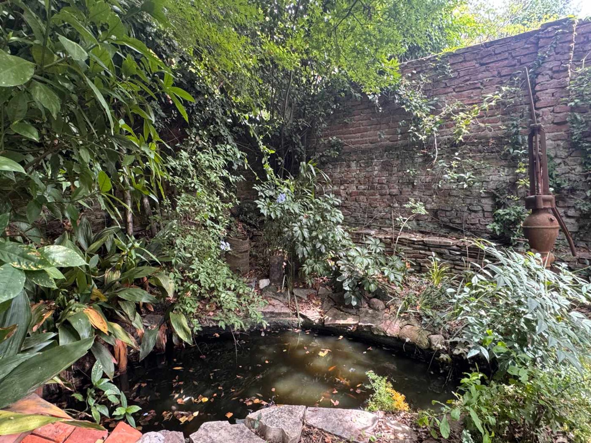 Casa 6 Ambientes con pileta y jardin Vicente Lopez