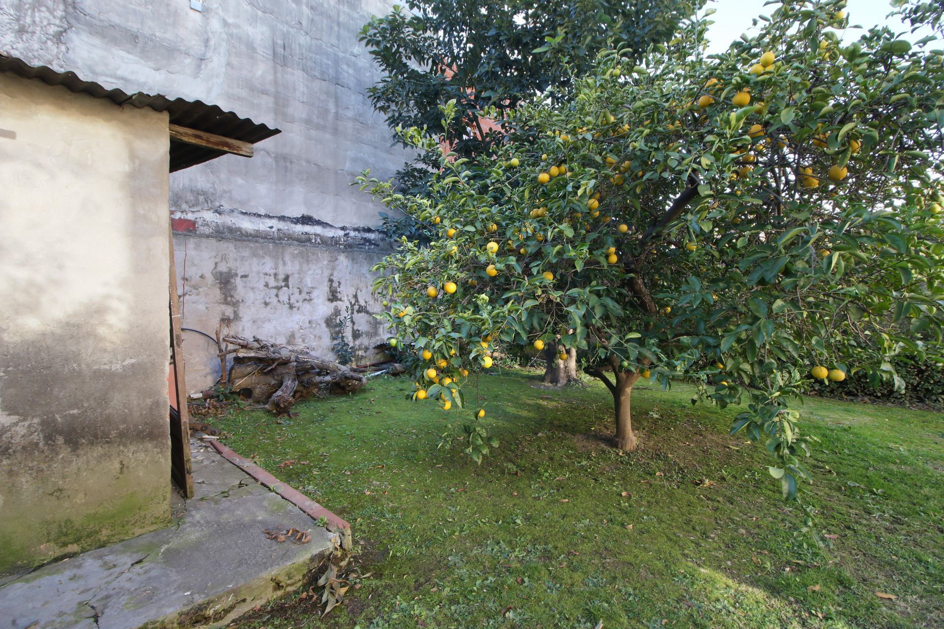 Casa En Venta Multifamiliar