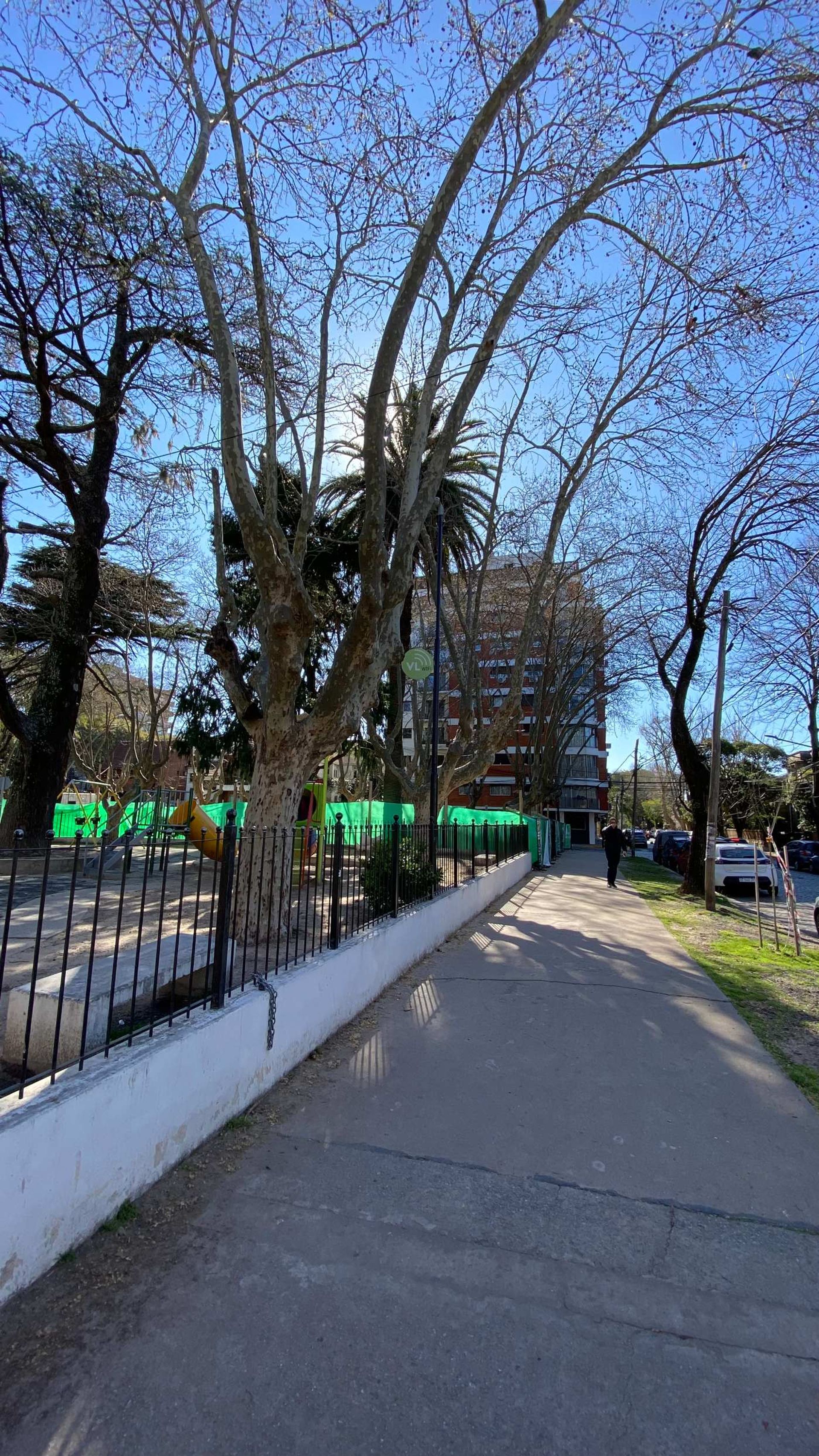Wineberg al 2700, 4 amb.
