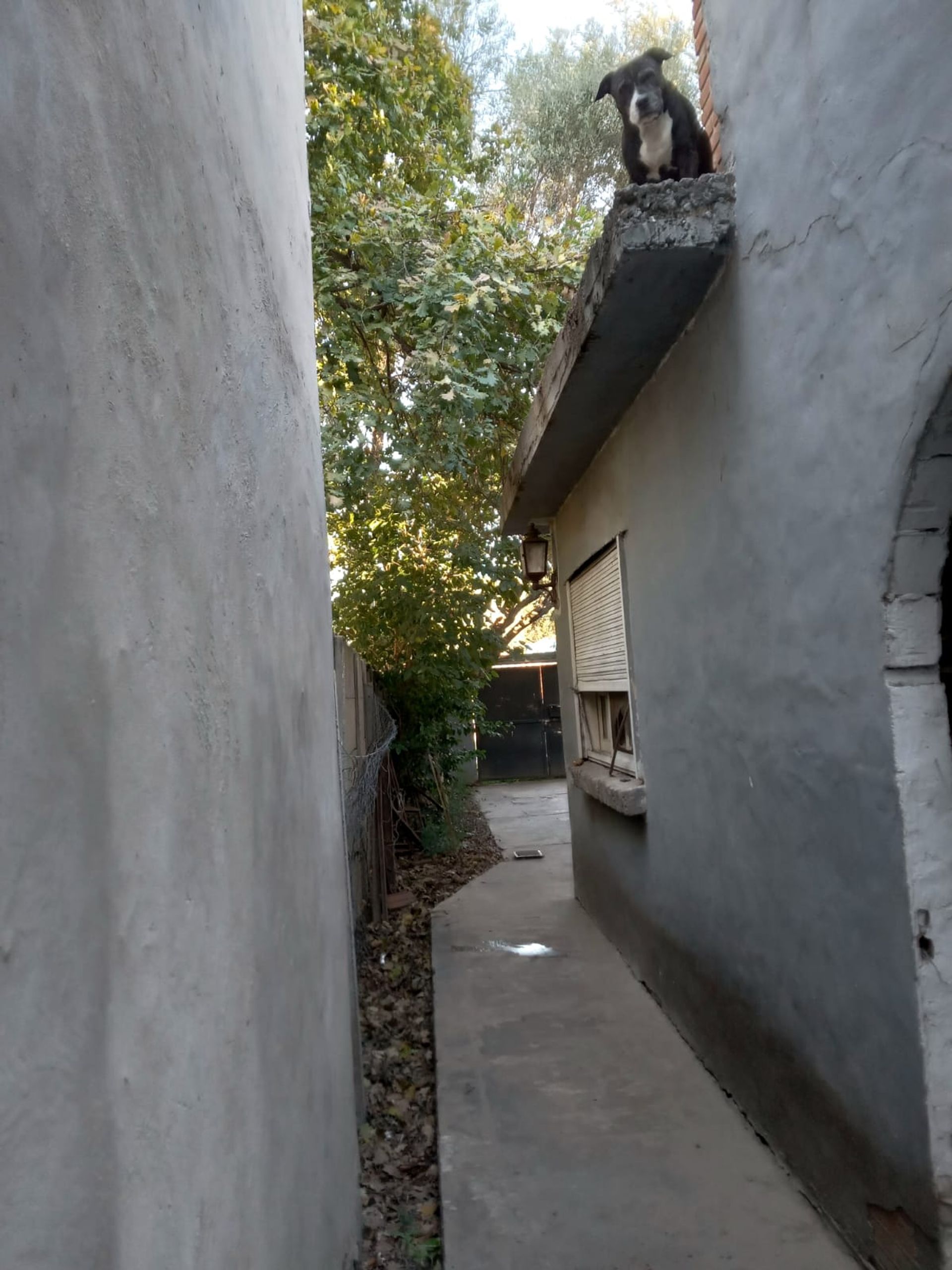 Venta Casa 4 Amb C/Garage, Parrilla. Lote 300 M2.