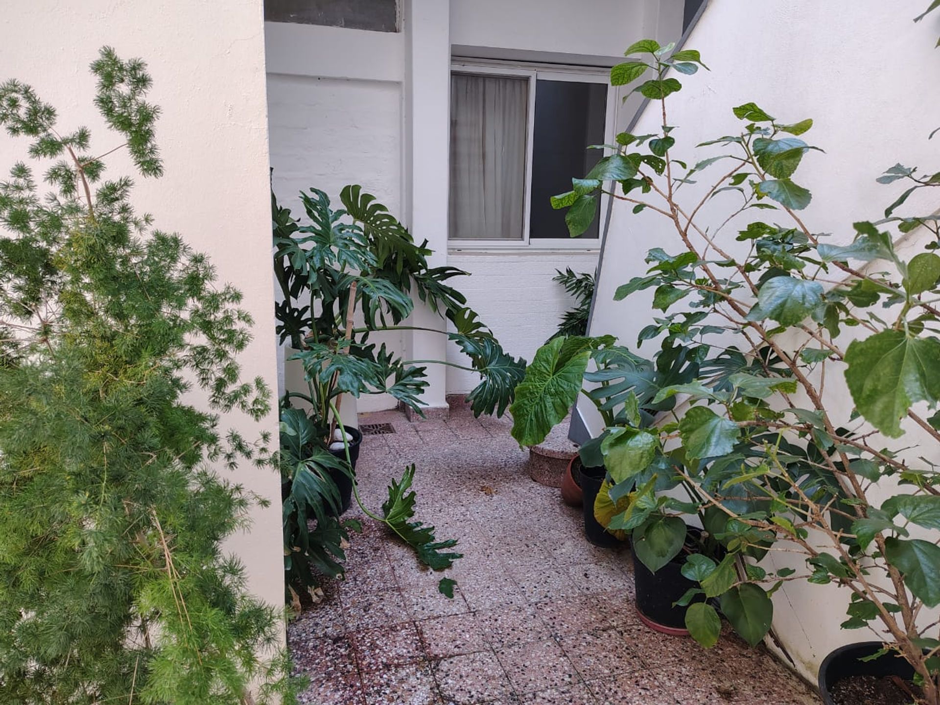 PH VENTA 3 ambientes olivos cochera baulera