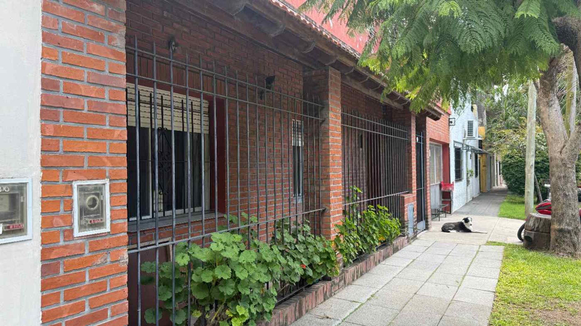 House 6 Rooms San Isidro, Private Lot, Terrace, Garage