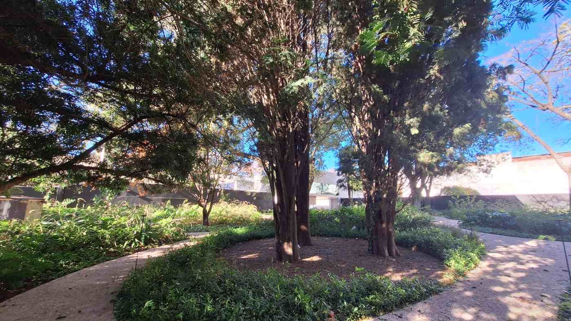 Venta Monoambiente Edificio Domus Parque Olivos