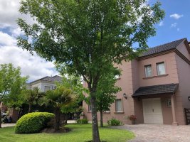 3-Room House for Sale to Renovate in Vicente Lopez