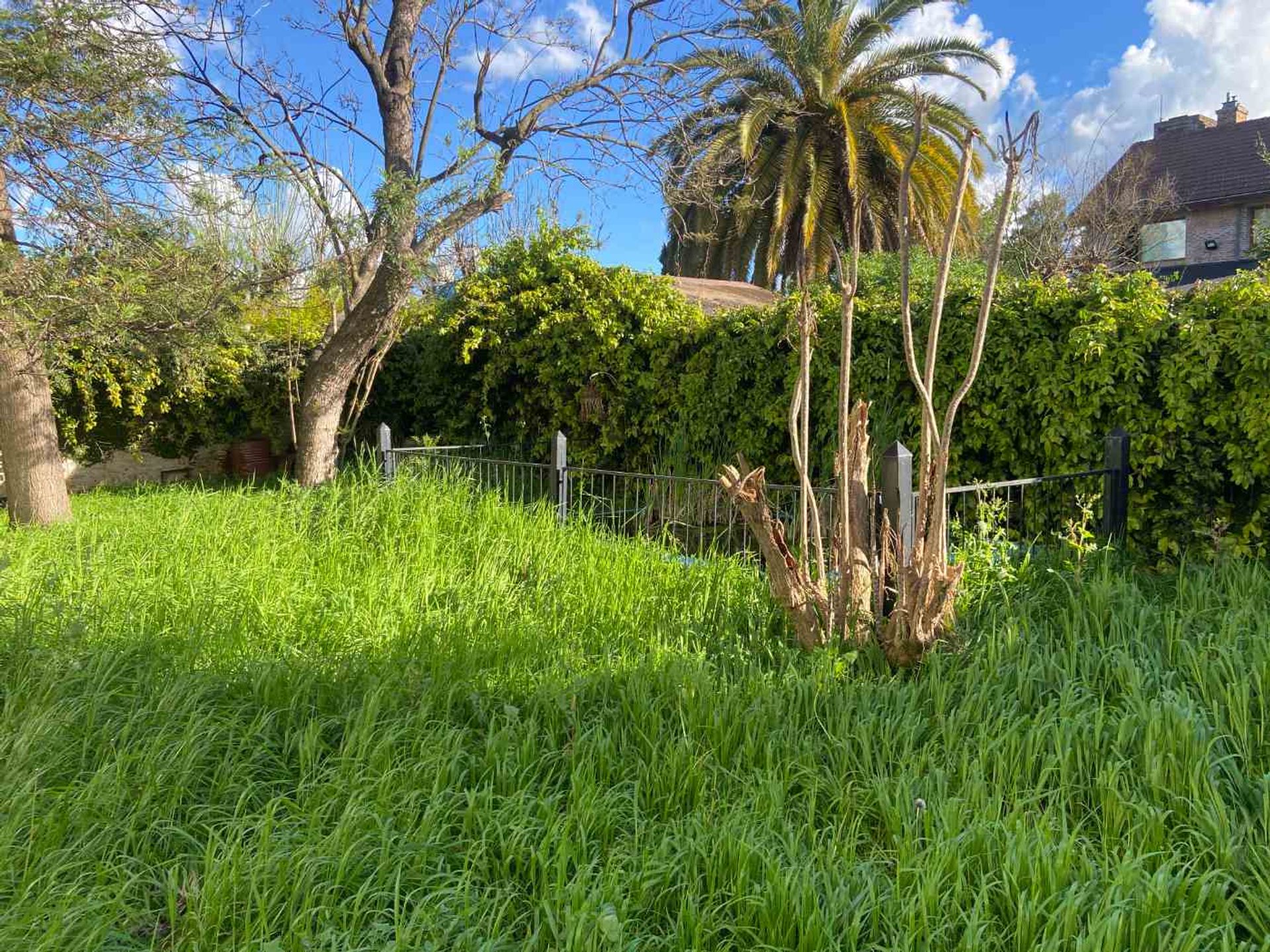 Venta Casa San Isidro Las Lomas