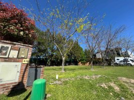 House for Short-Term Rental 5 rooms Benavidez Greens