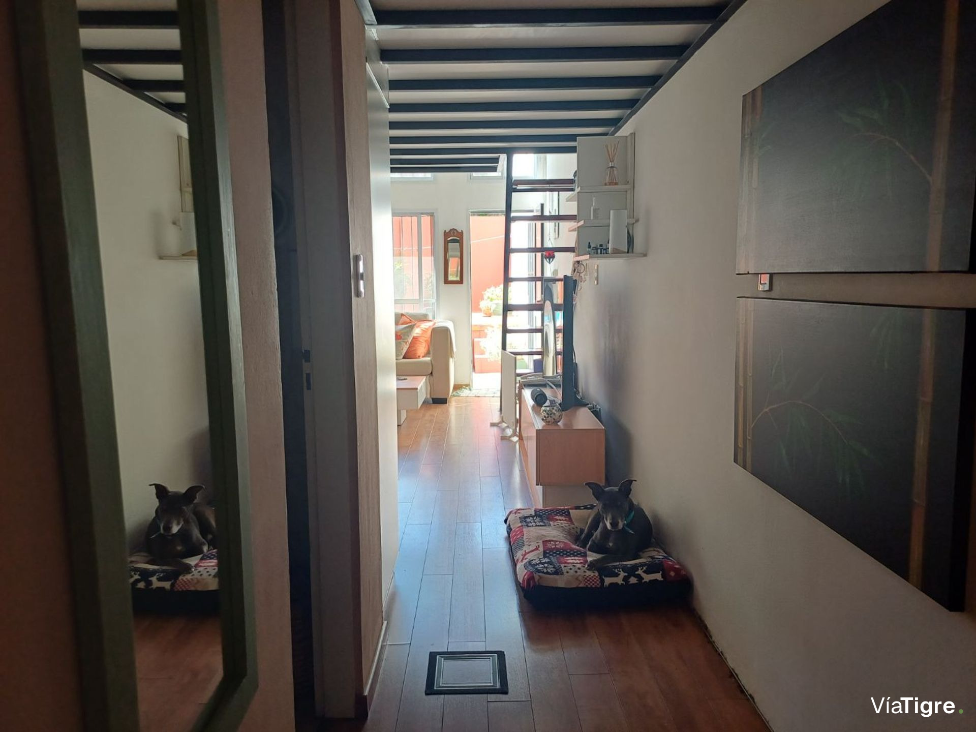 Venta Ph En Tigre Con Pileta/Sin Expensas