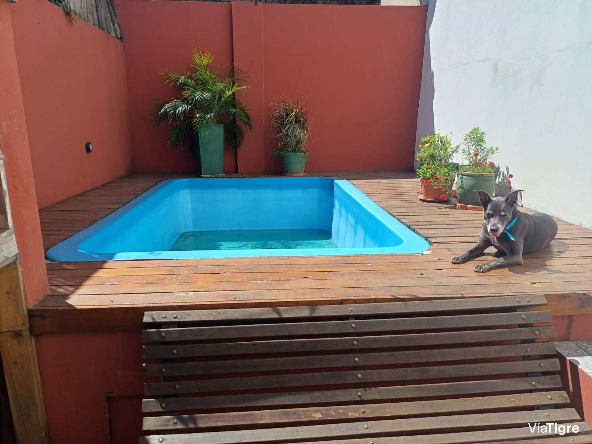 Venta Ph En Tigre Con Pileta/Sin Expensas