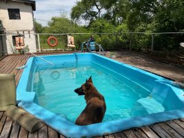 VENTA Casa 6 amb c/pileta y muelle - Delta - Tigre