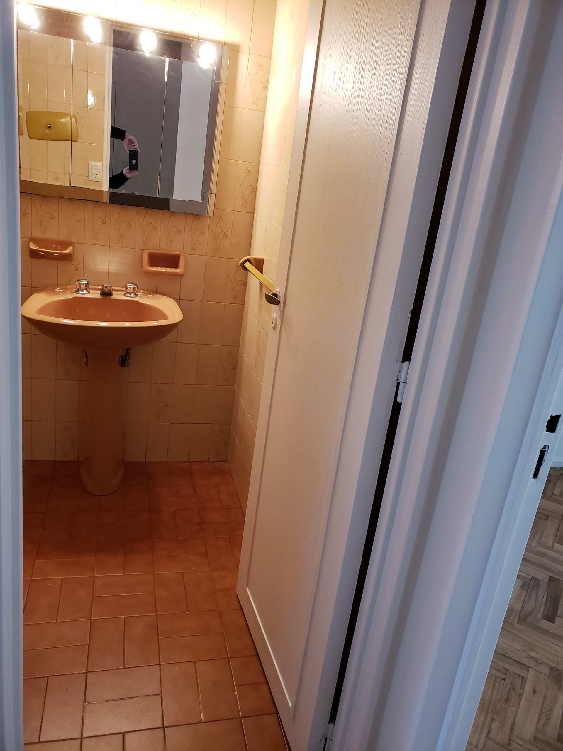 Alquiler de 2 ambientes en Carapachay