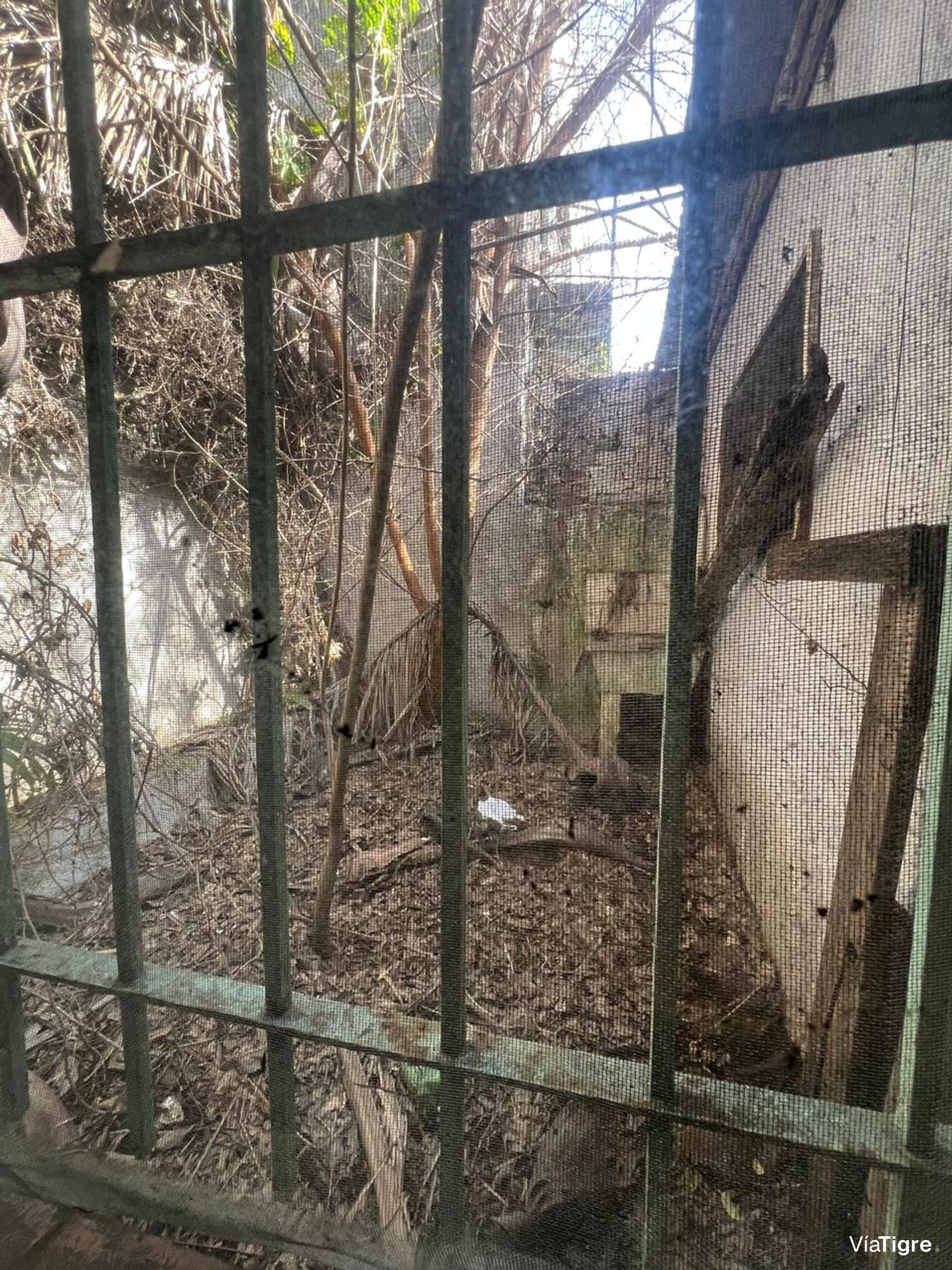 Venta Ph 3 Amb Y Jardin A Reciclar Villa Adelina