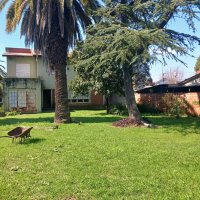 Venta Lote 10X65 Pacheco Tigre Ideal Inversor