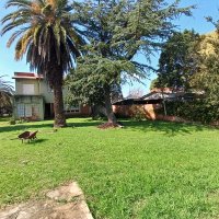 Venta Lote 10X65 Pacheco Tigre Ideal Inversor