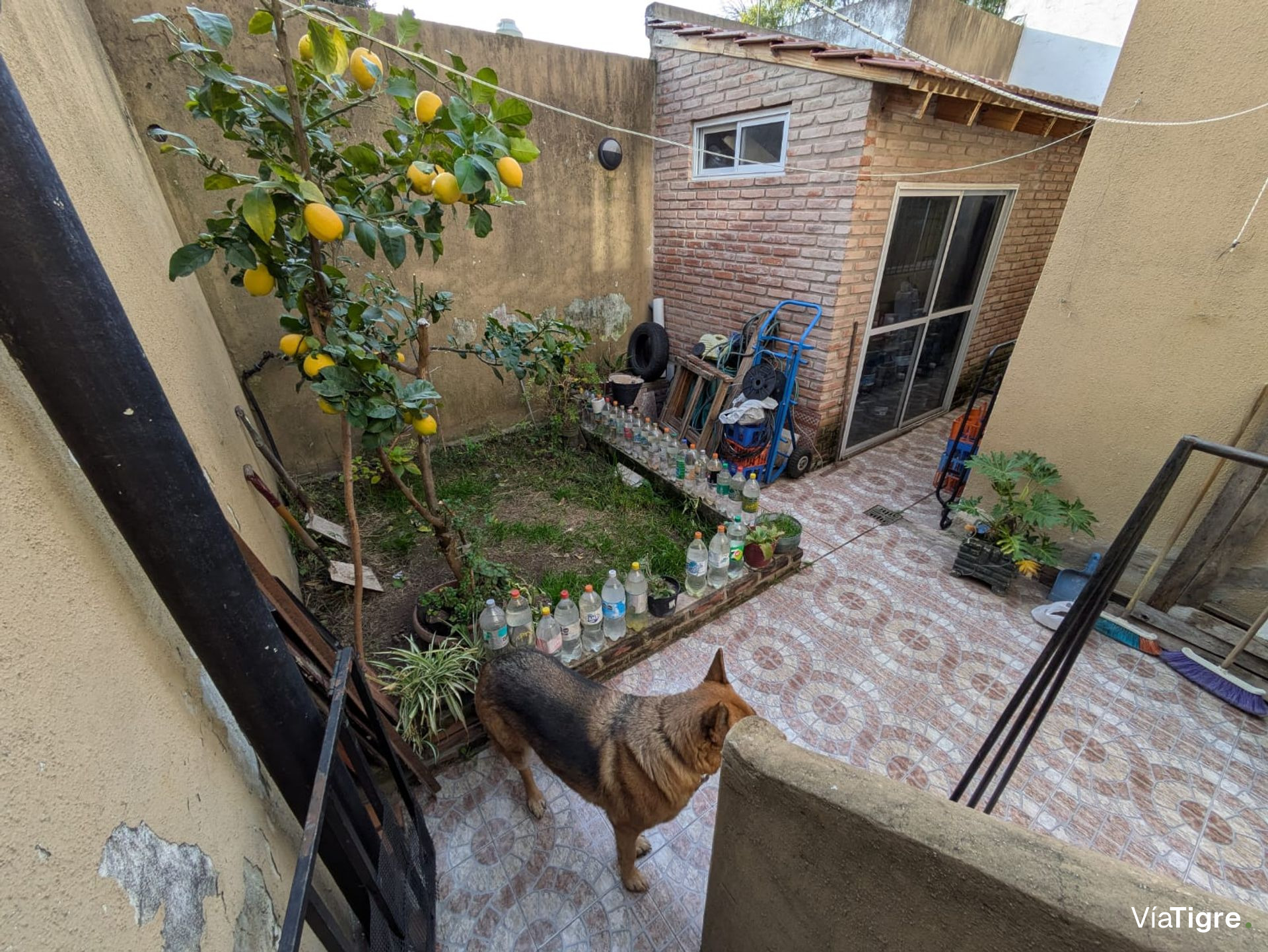 Local en P.B en Edificio Nature -Tigre Centro