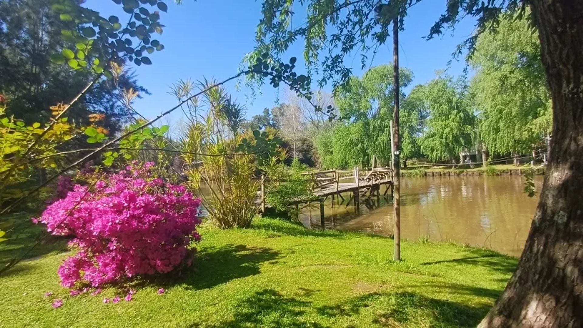 PH 3 Ambientes con Jardín y Parrilla en Tigre