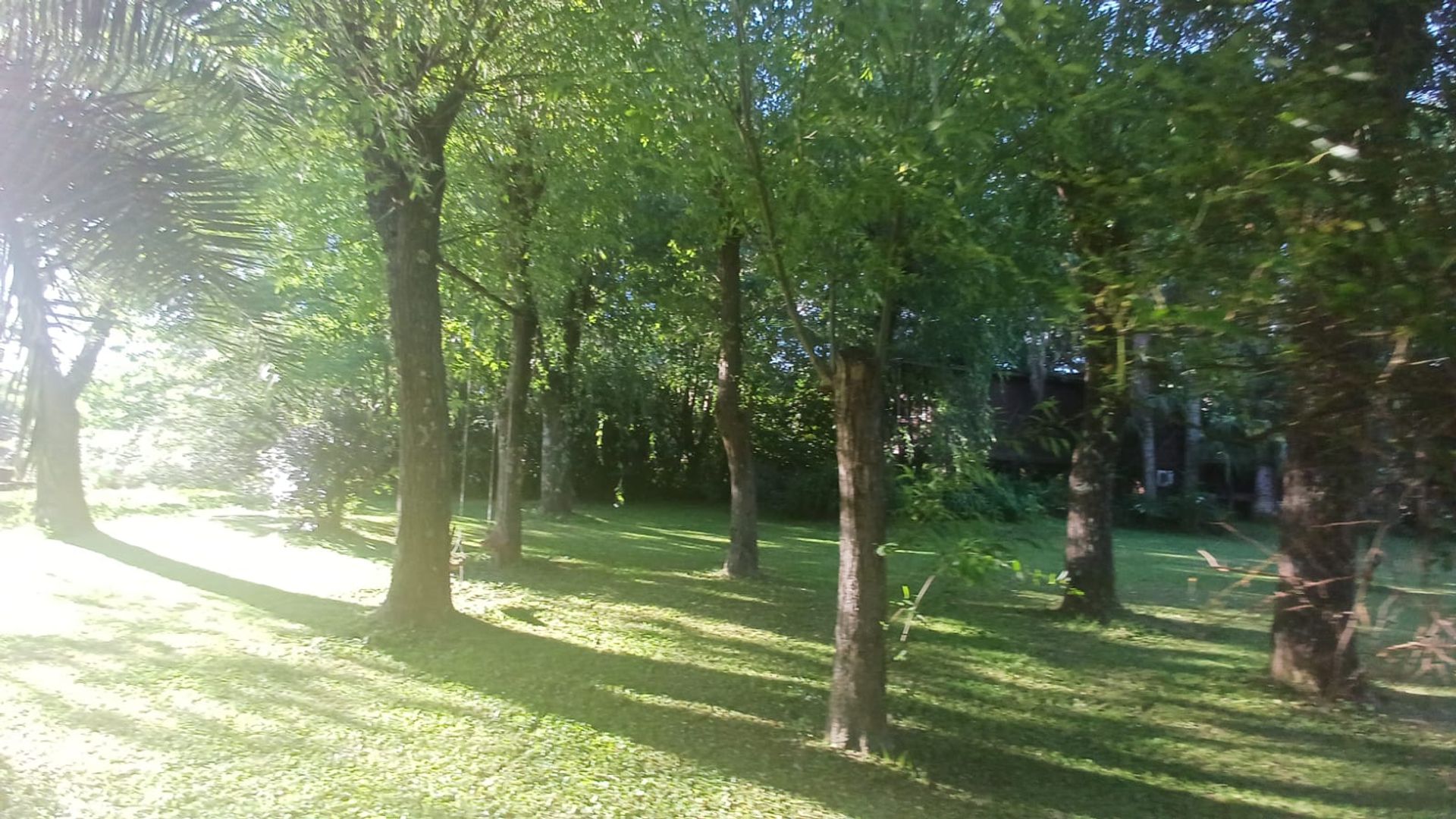 PH 3 Ambientes con Jardín y Parrilla en Tigre