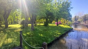 PH 3 Ambientes con Jardín y Parrilla en Tigre