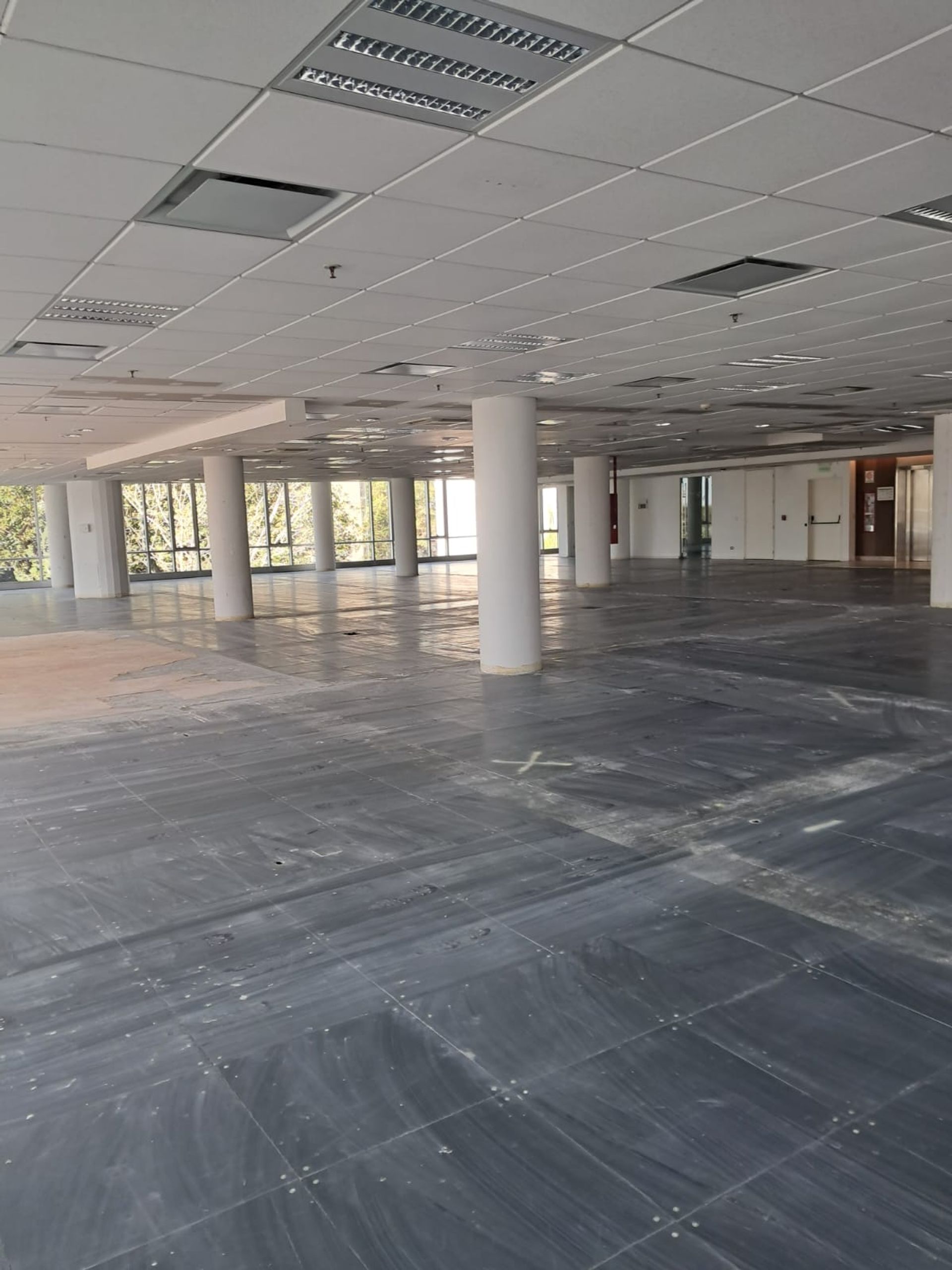OFICINAS 930 m2 PLANTA LIBRE en OLIVO, 18 cocheras