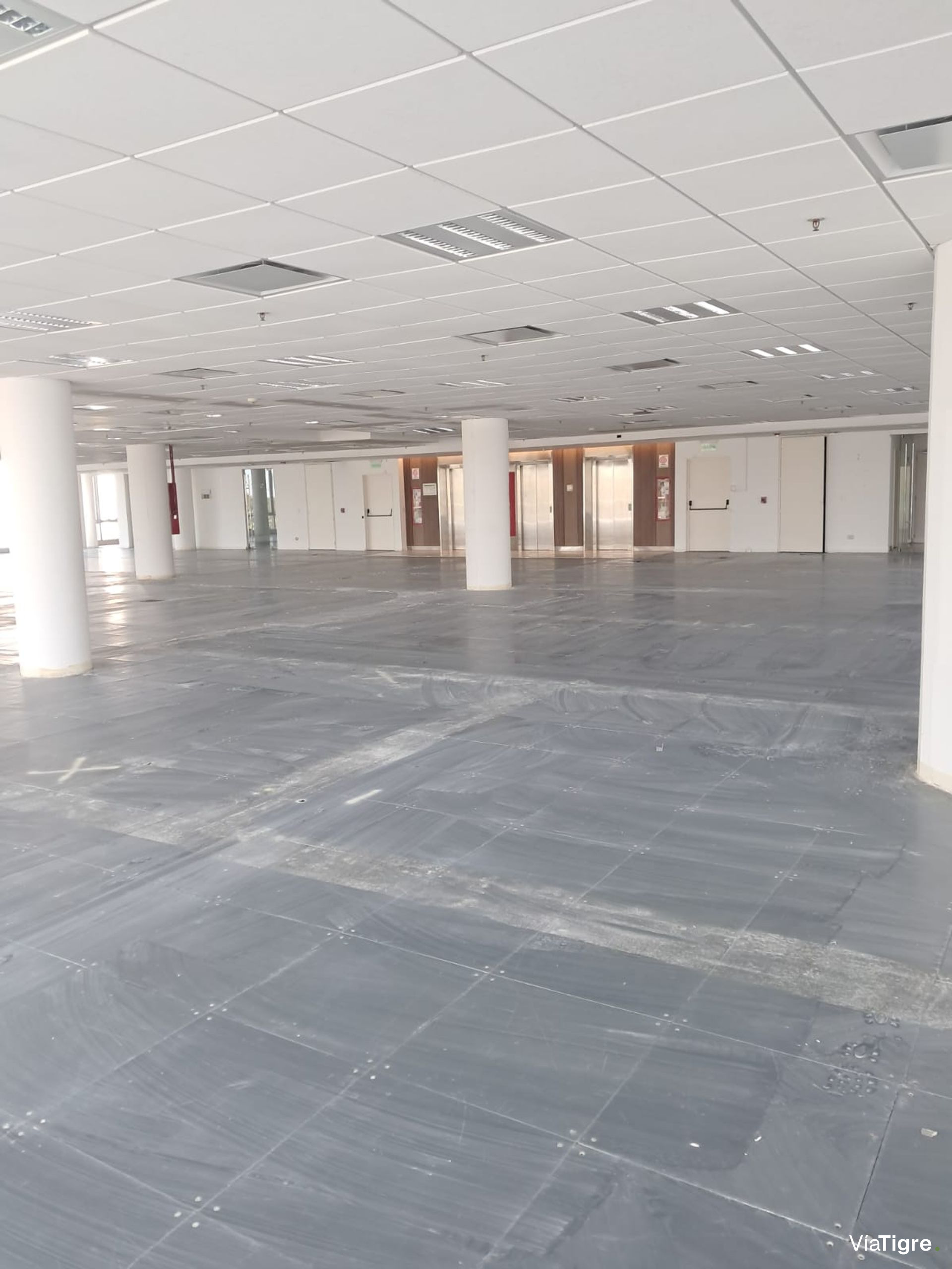OFICINAS 930 m2 PLANTA LIBRE en OLIVO, 18 cocheras