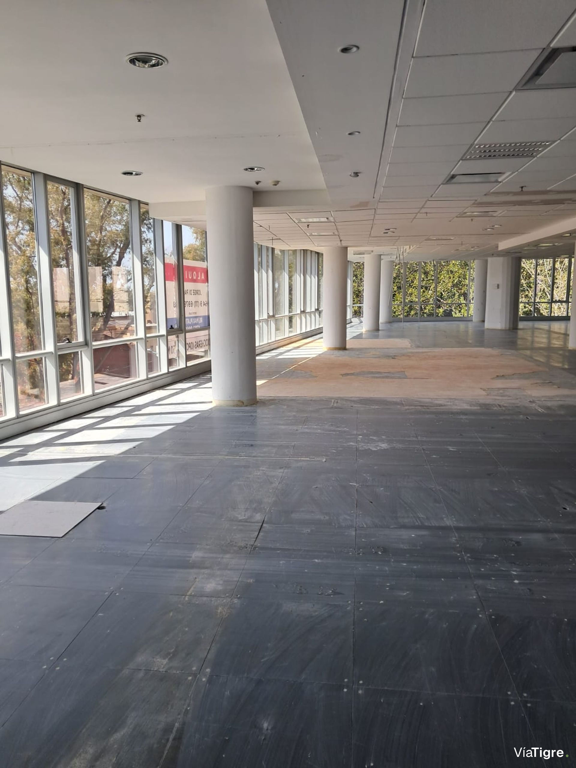 OFICINAS 930 m2 PLANTA LIBRE en OLIVO, 18 cocheras