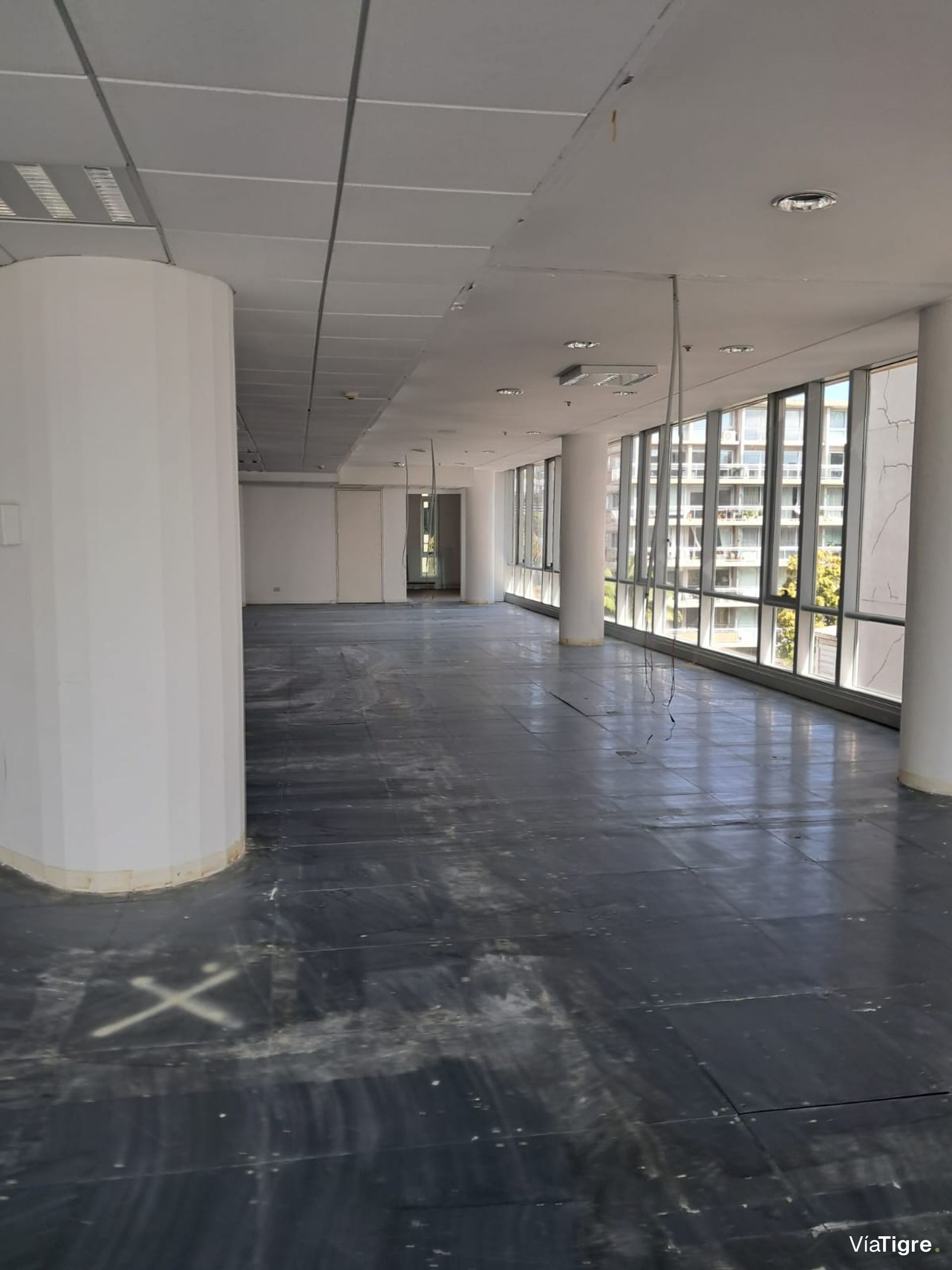 OFICINAS 930 m2 PLANTA LIBRE en OLIVO, 18 cocheras