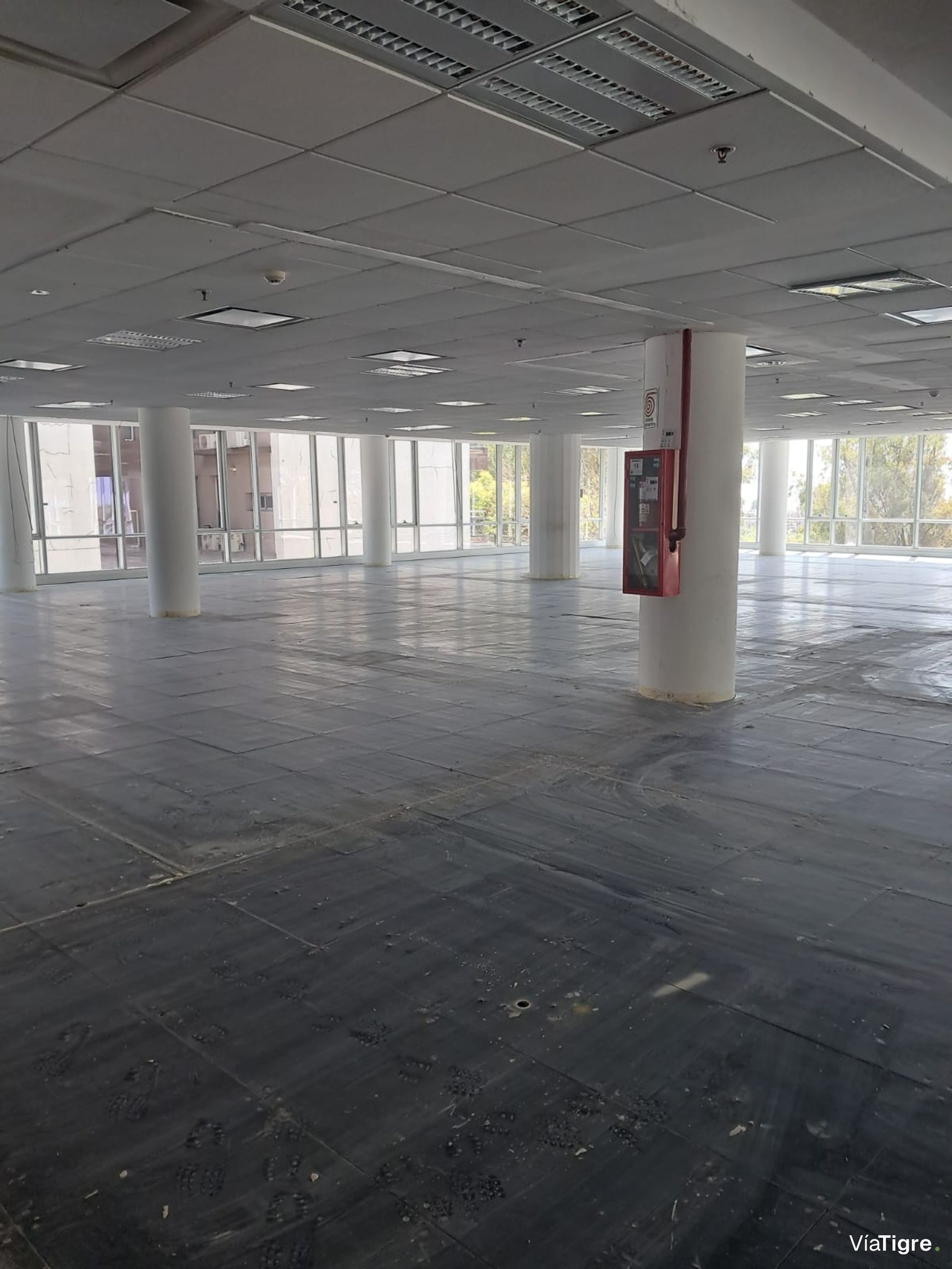 OFICINAS 930 m2 PLANTA LIBRE en OLIVO, 18 cocheras