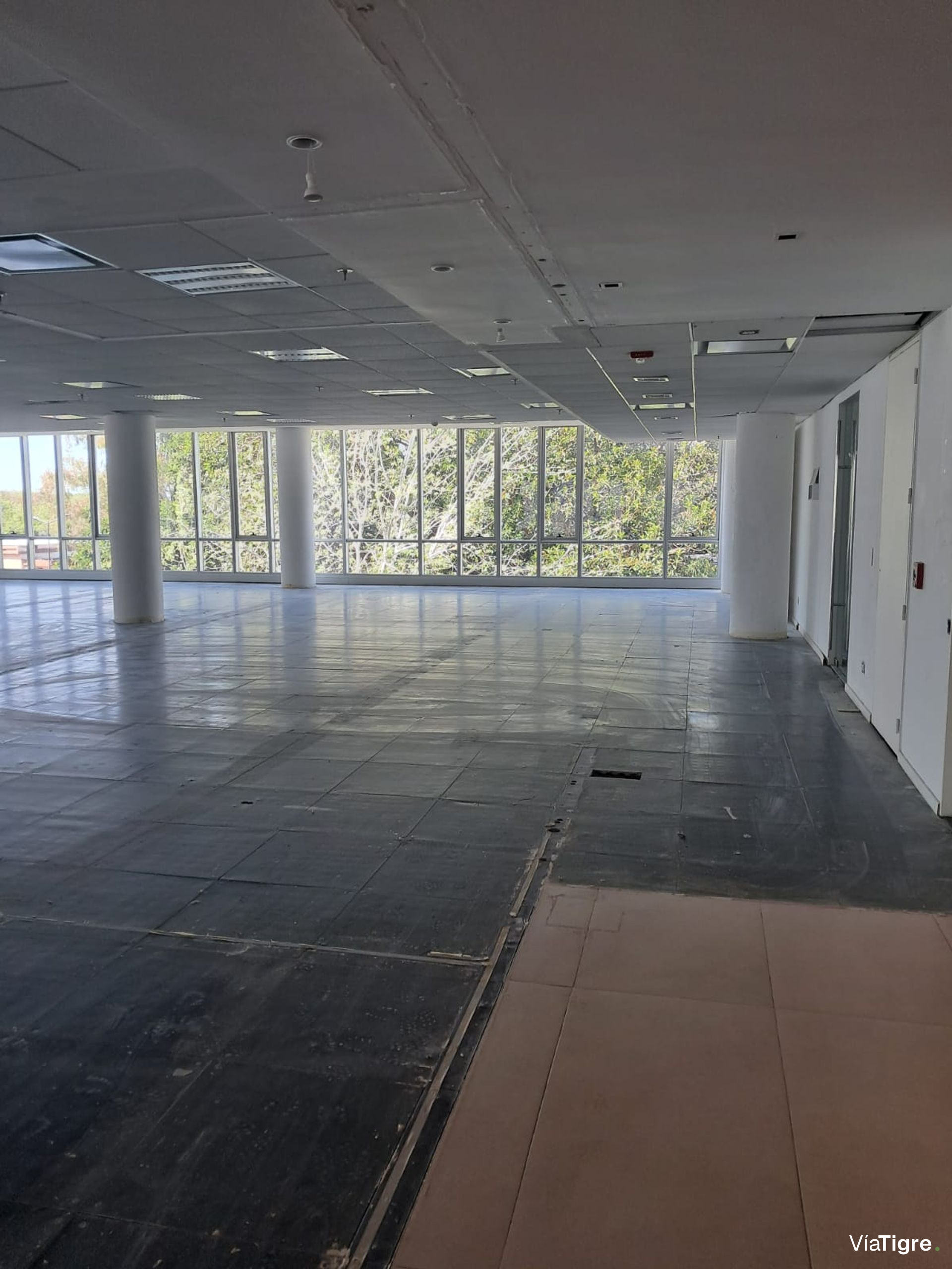 OFICINAS 930 m2 PLANTA LIBRE en OLIVO, 18 cocheras