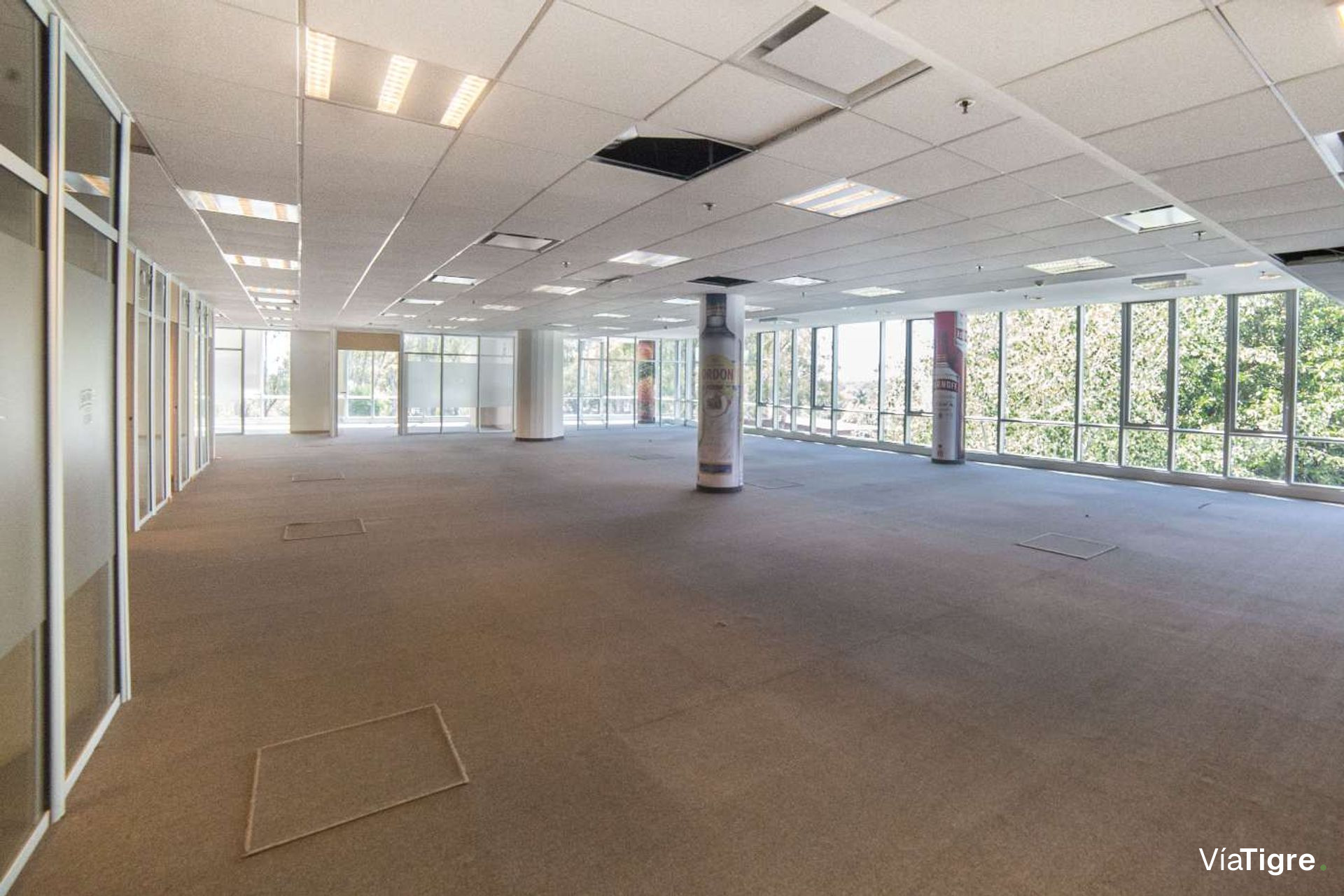 OFICINAS 930 m2 PLANTA LIBRE en OLIVO, 18 cocheras