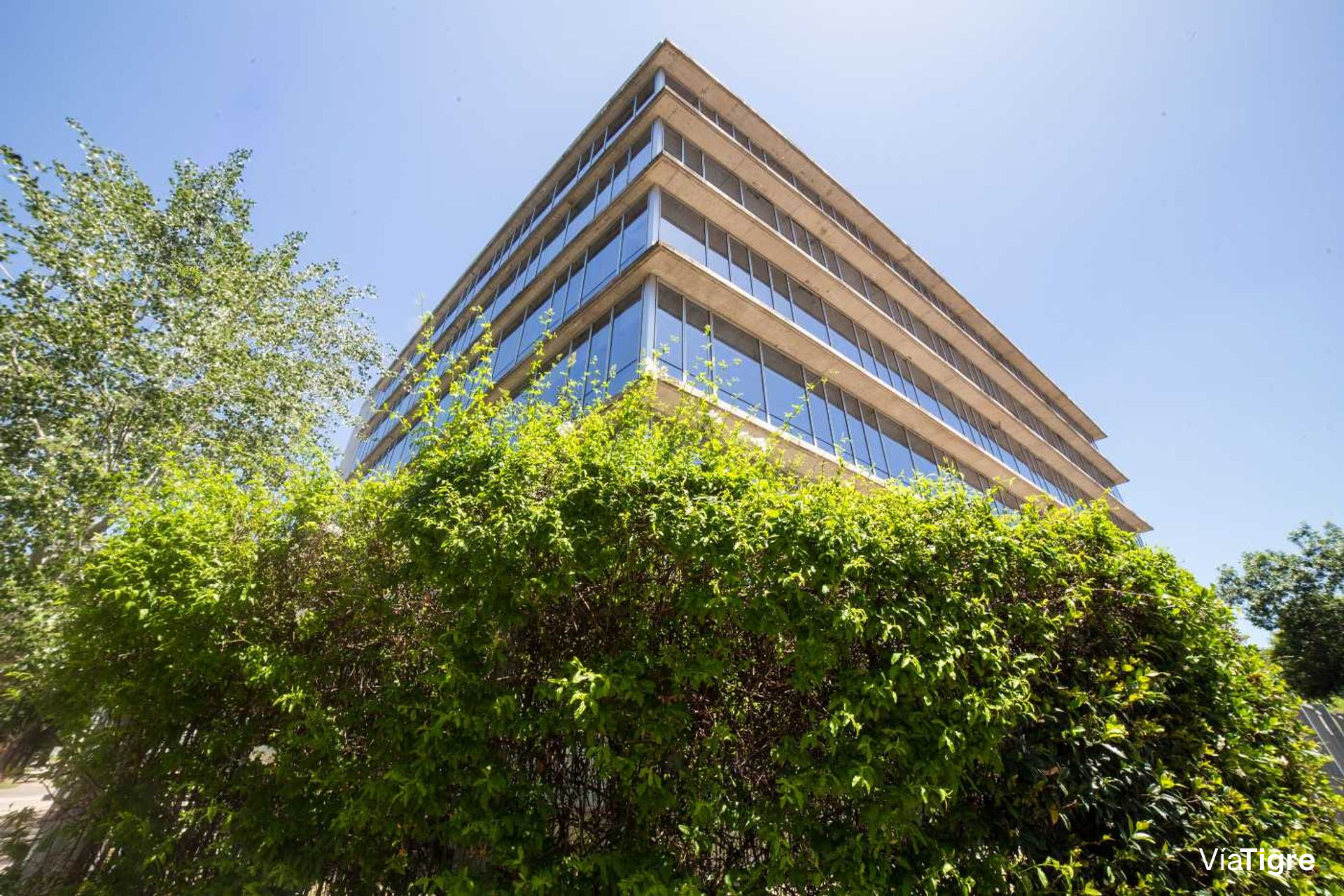OFICINAS 930 m2 PLANTA LIBRE en OLIVO, 18 cocheras