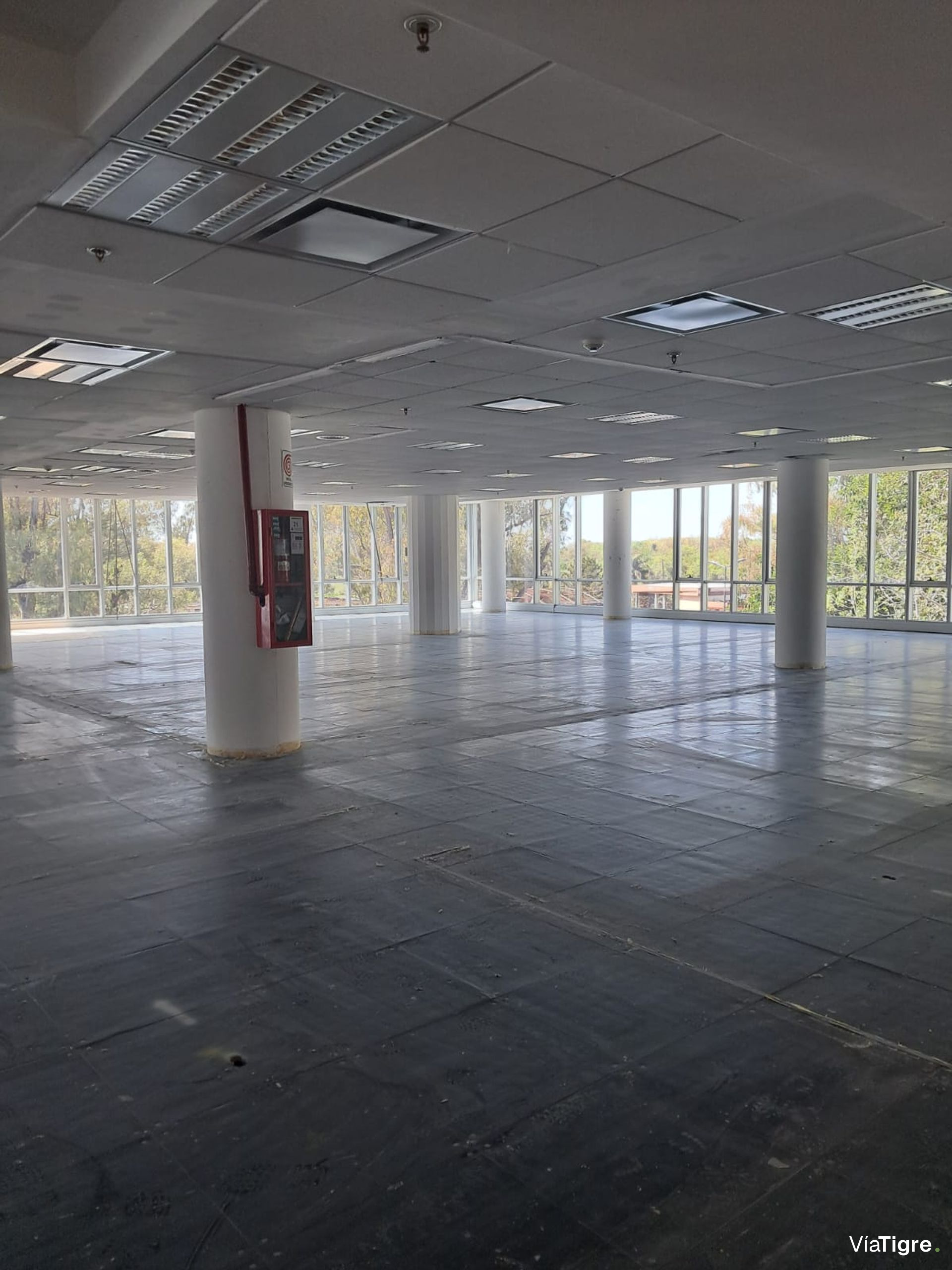 OFICINAS 930 m2 PLANTA LIBRE en OLIVO, 18 cocheras
