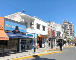 OFICINAS 930 m2 PLANTA LIBRE en OLIVO, 18 cocheras