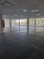 OFICINAS 930 m2 PLANTA LIBRE en OLIVO, 18 cocheras